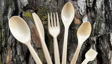 Posate in NeoWod - biodegradabili e compostabili | DI.CO.RA. SRL