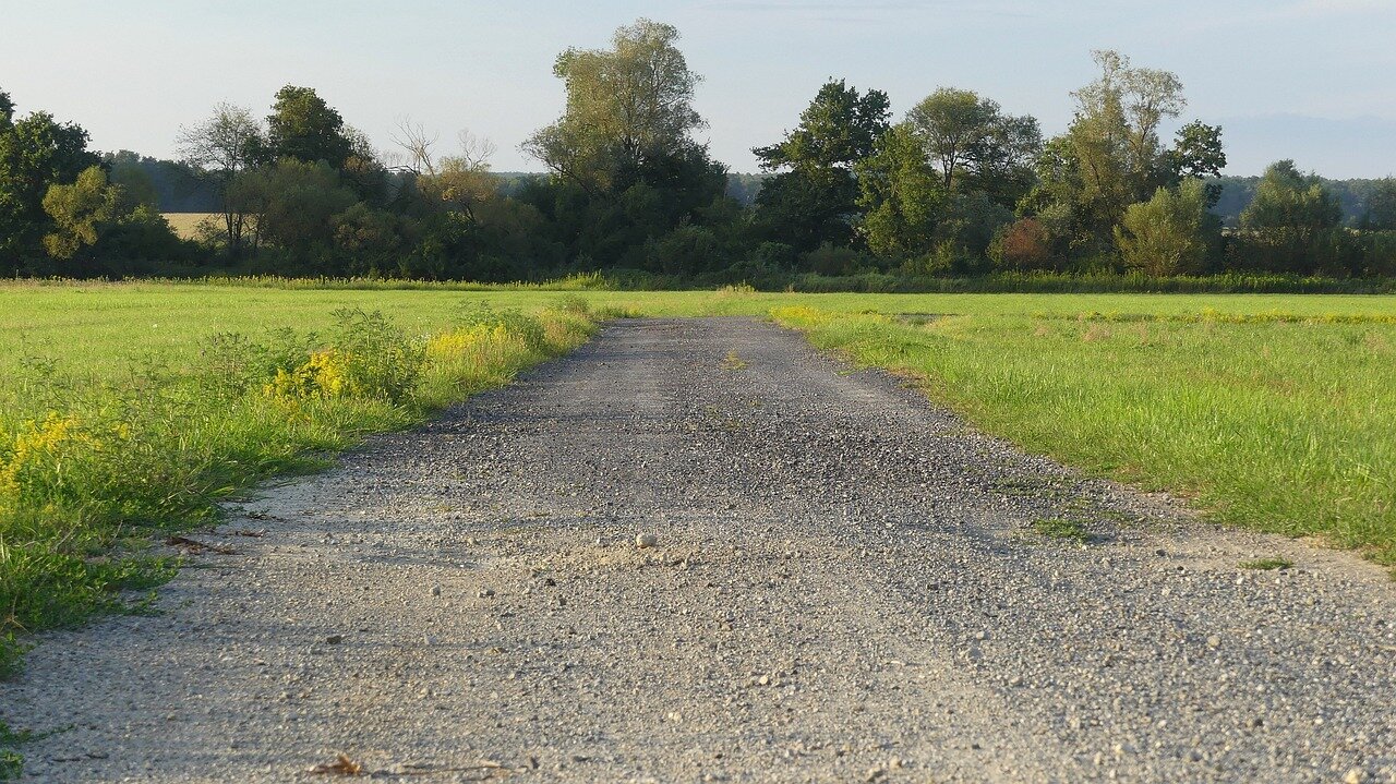 Cesta