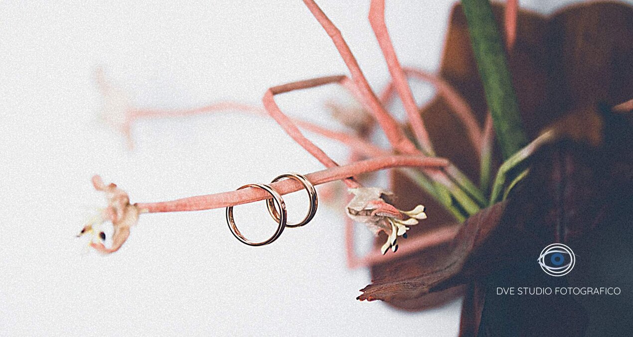 5aa7328c01316153d1a925de883cdbdefdc72a29.jpeg 5aa7328c01316153d1a925de883cdbdefdc72a29.jpeg