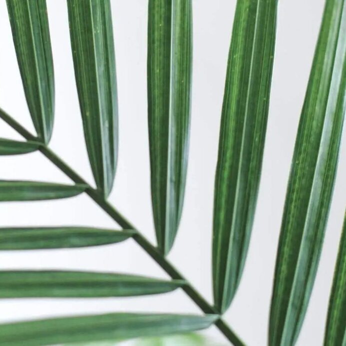 0f6f4446eeb9fb90d60c29e146926f7c867e57f9 0f6f4446eeb9fb90d60c29e146926f7c867e57f9