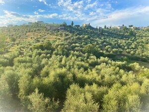 64b61bb37bdd721fa69f3dfefbb59236a3b221a7 64b61bb37bdd721fa69f3dfefbb59236a3b221a7