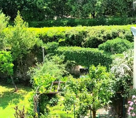 3f7fc9f2c03c6c1500b2d8201894a7f231e14ade