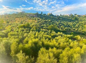 1f01ae4883e732bfaf466635b748ef9e1c79c639