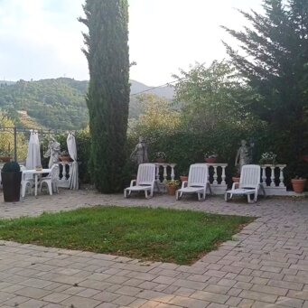 Giardino Giardino esclusivo con sdraio, tavoli, sedie e barbecue immerso tra gli ulivi