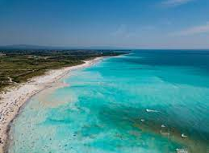 ed16b4322b92932db6cefc4220fb10235dbbd2f4