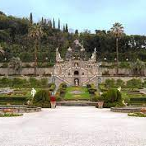 COLLODI (PT)