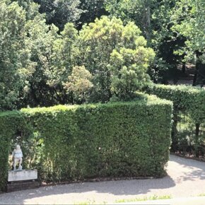 CASA VISTA BOBOLI NEL CUORE DI FIRENZE