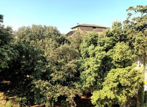 0e677c280f591c99e2171bc78beb3abba533c8e5