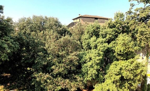 0e677c280f591c99e2171bc78beb3abba533c8e5