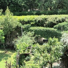 b3e486eaef89319c8b2a1ea59137790c7974656e