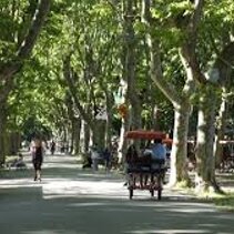 Pineta di Ponente