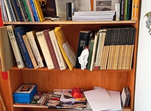 violino%20andrea%202.jpeg violino%20andrea%202.jpeg