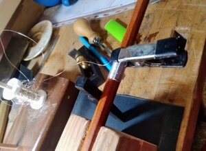 cocco%202.jpeg cocco%202.jpeg