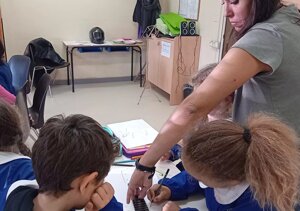 primula%20alone.jpeg primula%20alone.jpeg