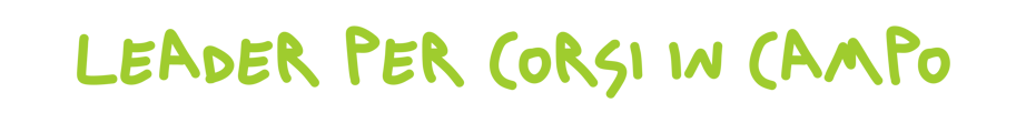 89ab0c12c96f2bb016b30dbc43b496b6c85a70e6