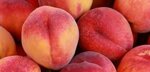 pesche-gialle-cestino-da-1-kg-67-pz