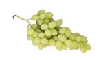 uva-bianca-vittoria-origine-puglia-it