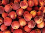 pesche-gialle-cestino-da-1-kg-67-pz
