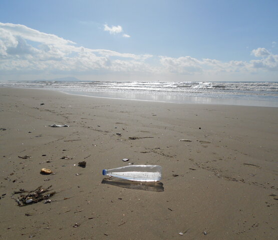 Macrocosm/Microcosm Photo, 2012
