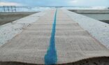Linea/Line acrilic on canva 2024