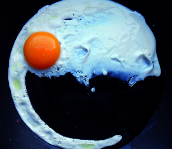 Welcome/Benvenuto Egg, 2012