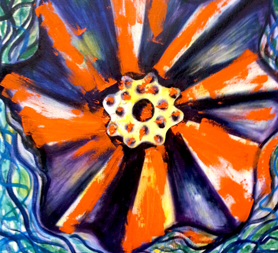 Sponge Starfish/Stella marina oil on canvas/olio su tela, 50 x 70 cm, 2014