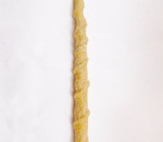 Unicorn horn/ Unicorno beeswax/cera, 2012