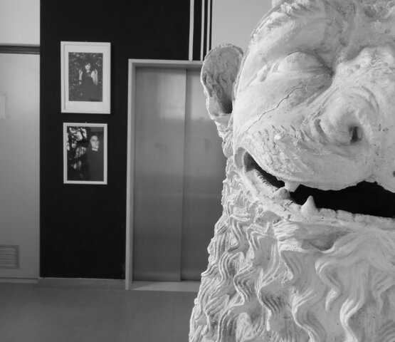 Chimaera/Chimera Photo, Accademia di Belle Arti di Venezia, 2015
