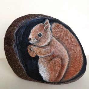 Scoiattolo nel buco 23x18
