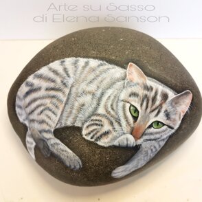 Gatto su sasso 19x13