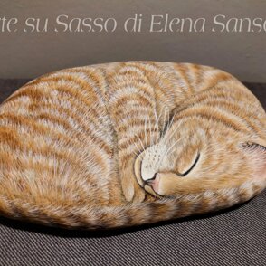 Gatto rosso 25x15