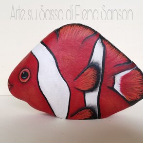 Pesce Pagliaccio 20x12