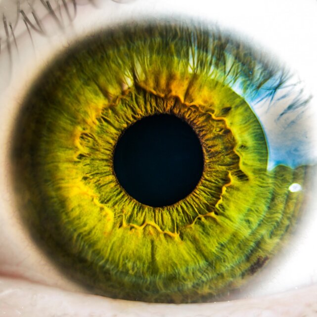 a9da1edf493f6bf54221dfb978f40f5c45fea126