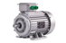 motore