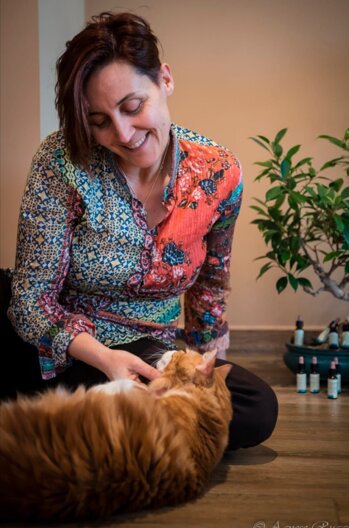 58ed1732-0d82-48f9-9605-ae2afb3d2182