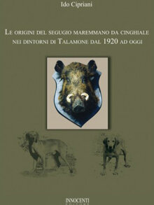 Le origini del segugio maremmano da cinghiale nei