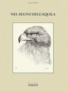 Non mi lamento (2006)