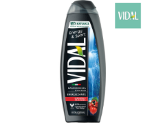 240 bagno doccia schiuma vidal ginseng guaranà 500ml 8008970055381