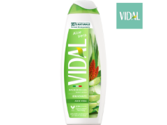 240 bagno doccia schiuma vidal aloe vera 500ml 8008970055534