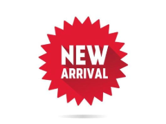 240 logo new arrival