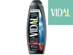 240 bagno doccia schiuma vidal ginseng guaranà 500ml 8008970055381