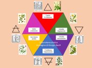 9a539189-c96d-44b4-a6b5-41049cec0732