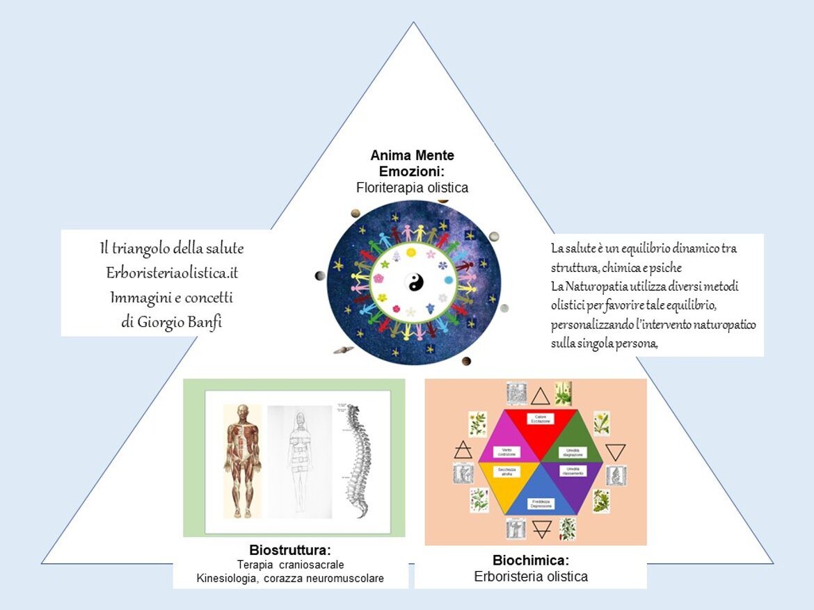 8d1e0f6e-9a4d-4ed4-8690-b5b9c19814b4