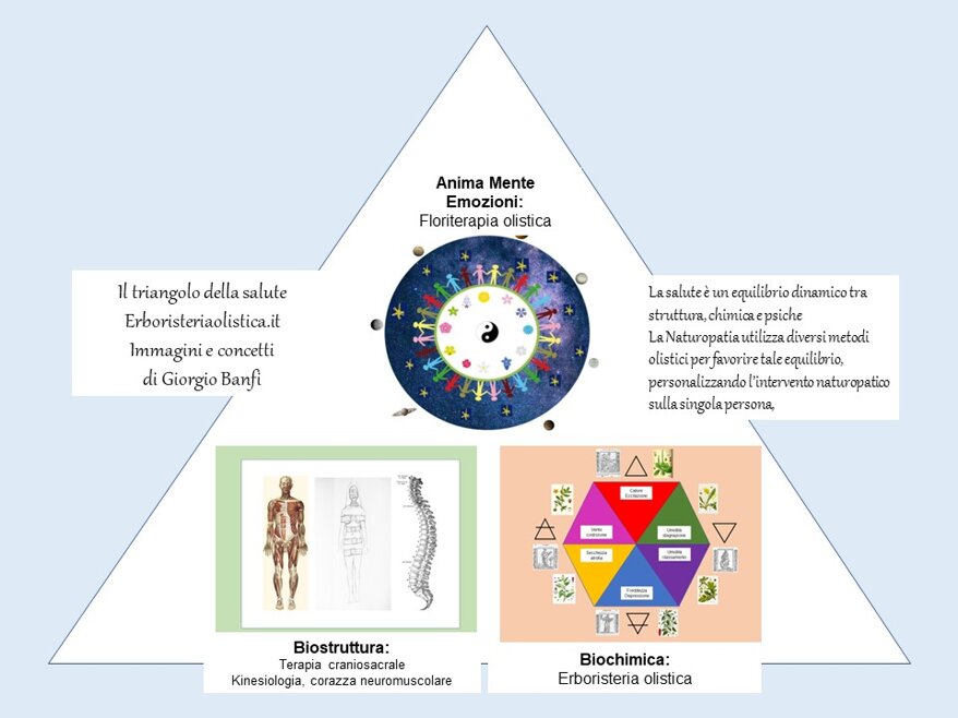 8d1e0f6e-9a4d-4ed4-8690-b5b9c19814b4