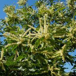 2be915b9-0b1f-4f7b-b55f-7ccf99528c4b