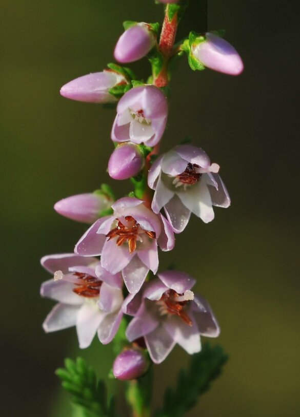 899526ba-cb04-4415-a36d-a3e50ee9f8da