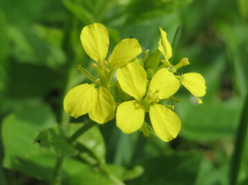 66c19272-7ee7-4b92-aee4-4f3e4a3efed0