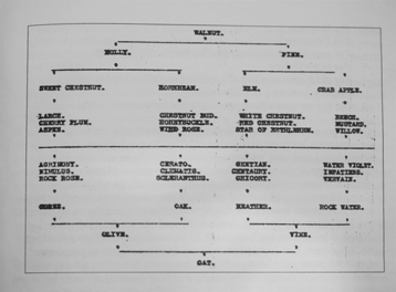 046c1cbb-6ae5-468e-b51f-3ebe7939e017