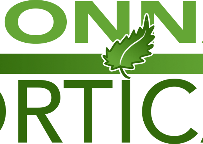 and-machines-vqtwfa4djek-unsplash.jpeg and-machines-vqtwfa4djek-unsplash.jpeg