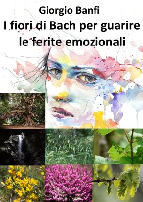 e2e96147-d288-4534-82bf-e376f4a09648